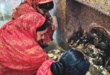 11 मार्च को मनाई जाएगी शीतलाष्टमी:ठंडे व्यंजनों का माता को लगेगा भोग Sheetala Ashtami will be celebrated on March 11