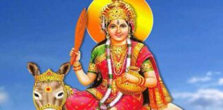 शीतला माता को अर्पित पांच क्विंटल सामग्री पहुंचाई जरुरतमंदों तक Five quintals of material offered to Sheetla Mata were distributed to the needy.