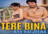 महाराजा म्यूजिक का नया गाना तेरे बिना क्या है जीना रिलीज़ Maharaja Music's New Song "Tere Bina Kya Hai Jeena" Released