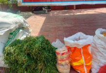 गौदान महादान गौ माता को भेजी खाने पीने की सामग्री The Gift of a Cow is the Greatest Gift: Food and Provisions Sent for Mother Cow.