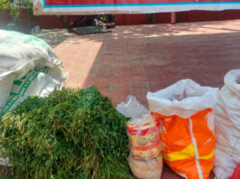 गौदान महादान गौ माता को भेजी खाने पीने की सामग्री The Gift of a Cow is the Greatest Gift: Food and Provisions Sent for Mother Cow.