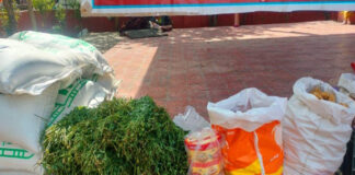 गौदान महादान गौ माता को भेजी खाने पीने की सामग्री The Gift of a Cow is the Greatest Gift: Food and Provisions Sent for Mother Cow.