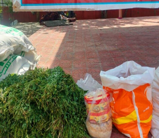 गौदान महादान गौ माता को भेजी खाने पीने की सामग्री The Gift of a Cow is the Greatest Gift: Food and Provisions Sent for Mother Cow.