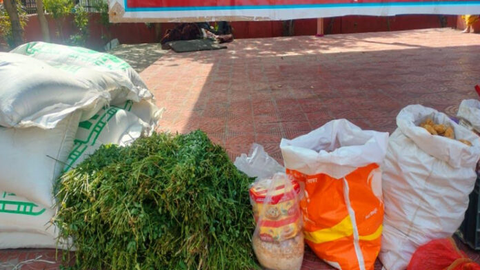 The Gift of a Cow is the Greatest Gift: Food and Provisions Sent for Mother Cow.