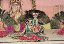 गोविंद देव जी मंदिर में होली फागोत्सव में मालीराम शास्त्री ने फाल्गुनी भजनों की लगाई हाजिरी Maliram Shastri attended the Holi festival at Govind Dev Ji Temple with Phalguna bhajans.