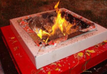 एक दिन-एक ही समय 108 से अधिक स्थानों पर होगा गायत्री यज्ञ