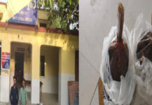 1.62 किलो अफीम सहित दो तस्कर गिरफ्तार Two Smugglers Arrested with 1.62 kg of Opium