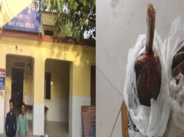 1.62 किलो अफीम सहित दो तस्कर गिरफ्तार Two Smugglers Arrested with 1.62 kg of Opium