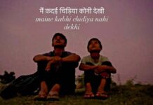 जयपुर की लेखिका उषा दशोरा की फिल्म नई दिल्ली फिल्म फेस्टिवल में Jaipur writer Usha Dashora's film at the New Delhi Film Festival