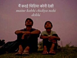 जयपुर की लेखिका उषा दशोरा की फिल्म नई दिल्ली फिल्म फेस्टिवल में Jaipur writer Usha Dashora's film at the New Delhi Film Festival