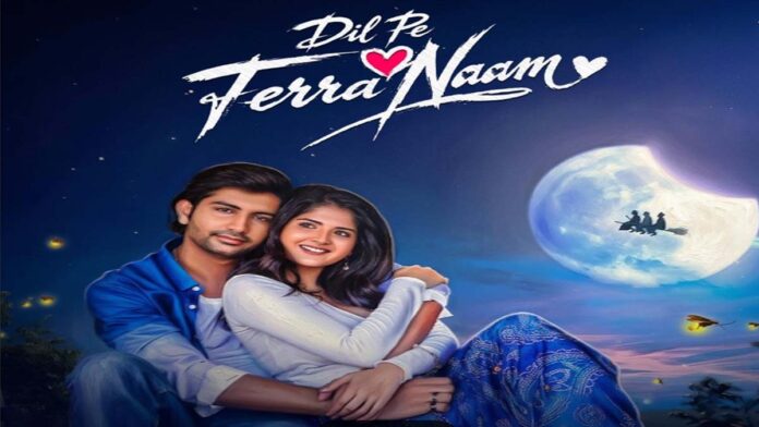 With the freshness of new faces, ‘Dil Pe Tera Naam’ wins hearts.