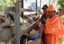 भक्ति और सेवा का संगम: श्री अमरापुर स्थान में पंच दिवसीय जन्मोत्सव शुरू Five-Day Birth Anniversary Celebrations Begin at Shri Amarapur Sthan