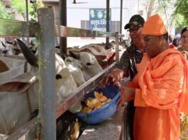 भक्ति और सेवा का संगम: श्री अमरापुर स्थान में पंच दिवसीय जन्मोत्सव शुरू Five-Day Birth Anniversary Celebrations Begin at Shri Amarapur Sthan