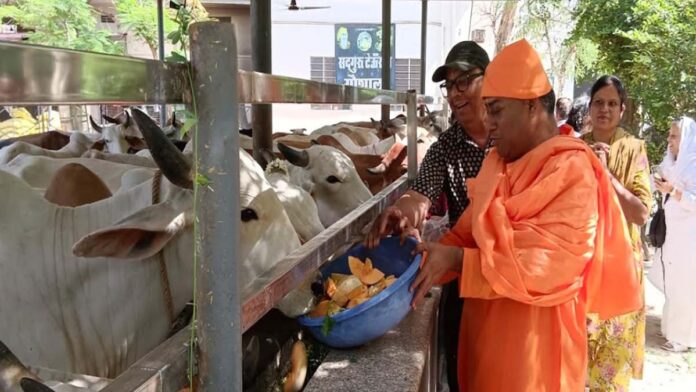Five-Day Birth Anniversary Celebrations Begin at Shri Amarapur Sthan