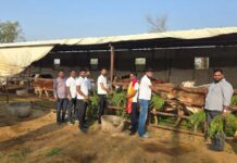 गौ सेवा व मानव सेवा को समर्पित श्री श्याम गौ सेवा परिवार समिति Shri Shyam Gau Seva Parivar Samiti — Dedicated to the Service of Cows and Humanity