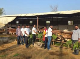 गौ सेवा व मानव सेवा को समर्पित श्री श्याम गौ सेवा परिवार समिति Shri Shyam Gau Seva Parivar Samiti — Dedicated to the Service of Cows and Humanity