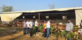 गौ सेवा व मानव सेवा को समर्पित श्री श्याम गौ सेवा परिवार समिति Shri Shyam Gau Seva Parivar Samiti — Dedicated to the Service of Cows and Humanity