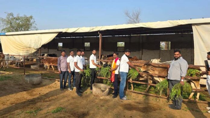 Shri Shyam Gau Seva Parivar Samiti — Dedicated to the Service of Cows and Humanity