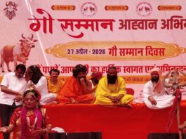 गो संरक्षण और संवर्धन एवं सम्मान को लेकर प्रदेश भर में मनाया गो दिवस 'Gau Diwas' Celebrated Across the State