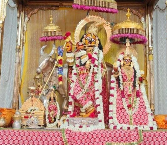 विभिन्न मंदिरों में भक्तिभाव से मनाई गई मोहिनी एकादशी Mohini Ekadashi Celebrated with Devotion in Various Temples