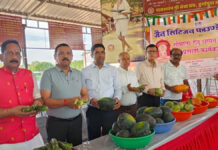 महावीर जयंती पर दुर्गापुरा गौशाला में गायों को 56 भोग