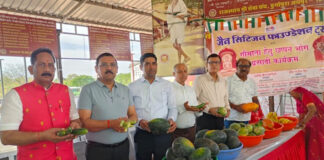 महावीर जयंती पर दुर्गापुरा गौशाला में गायों को 56 भोग