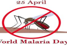 विश्व मलेरिया दिवस पर जयपुर में होंगे जागरूकता कार्यक्रम, रैलियां और जांच अभियान