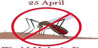 विश्व मलेरिया दिवस पर जयपुर में होंगे जागरूकता कार्यक्रम, रैलियां और जांच अभियान