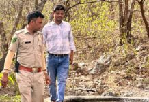 नाहरगढ़ जैविक उद्यान में वन्य जीव गणना की तैयारियां पूरी: पहली बार महिला दल संभालेंगे जिम्मेदारी Preparations for wildlife census completed in Nahargarh Biological Park