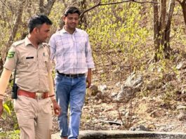 नाहरगढ़ जैविक उद्यान में वन्य जीव गणना की तैयारियां पूरी: पहली बार महिला दल संभालेंगे जिम्मेदारी Preparations for wildlife census completed in Nahargarh Biological Park
