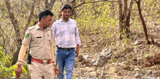 नाहरगढ़ जैविक उद्यान में वन्य जीव गणना की तैयारियां पूरी: पहली बार महिला दल संभालेंगे जिम्मेदारी Preparations for wildlife census completed in Nahargarh Biological Park