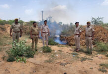 13 पुलिस थानों ने जब्तशुदा अवैध मादक पदार्थ किए नष्ट 13 Police Stations Destroy Seized Illicit Narcotics