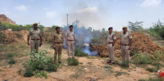13 पुलिस थानों ने जब्तशुदा अवैध मादक पदार्थ किए नष्ट 13 Police Stations Destroy Seized Illicit Narcotics