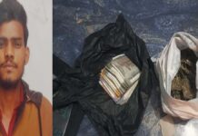 ऑपरेशन एंटी वेनम: 106 ग्राम गांजा सहित तस्कर गिरफ्तार Operation Anti-Venom: Smuggler Arrested with 106 Grams of Ganja