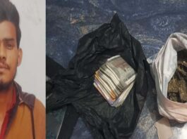 ऑपरेशन एंटी वेनम: 106 ग्राम गांजा सहित तस्कर गिरफ्तार Operation Anti-Venom: Smuggler Arrested with 106 Grams of Ganja
