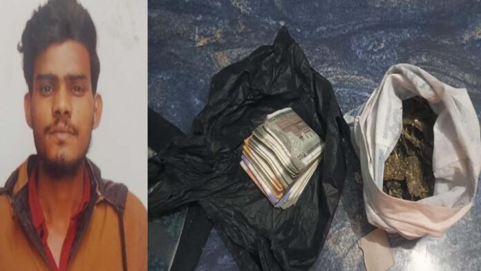 Operation Anti-Venom: Smuggler Arrested with 106 Grams of Ganja Operation Anti-Venom: Smuggler Arrested with 106 Grams of Ganja