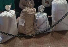 29.850 किलो डोडा चूरा सहित तीन तस्कर गिरफ्तार Three Smugglers Arrested with 29.850 kg of Doda Chura