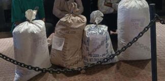 29.850 किलो डोडा चूरा सहित तीन तस्कर गिरफ्तार Three Smugglers Arrested with 29.850 kg of Doda Chura