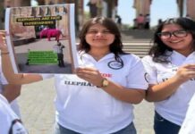 सेव द एलिफेंट डे पर विरोध: आमेर में हाथी सवारी बंद करने की मांग Protest on Save the Elephant Day: Demand to Ban Elephant Rides in Amer