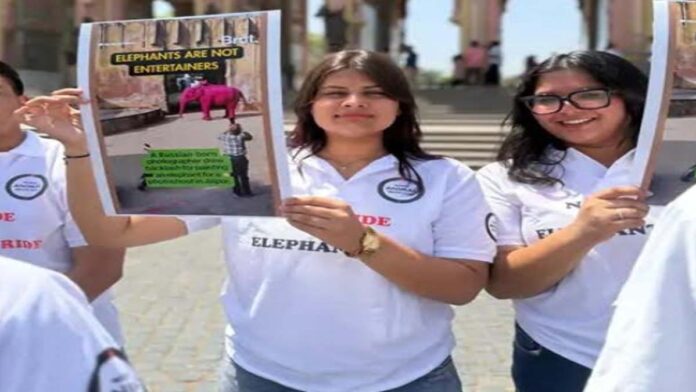 Protest on Save the Elephant Day: Demand to Ban Elephant Rides in Amer