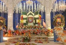 भव्य दरबार और भजनों की गूंज से महका श्याम उत्सव