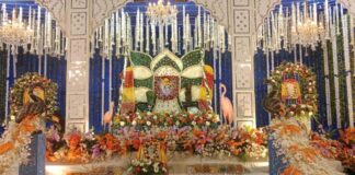 भव्य दरबार और भजनों की गूंज से महका श्याम उत्सव