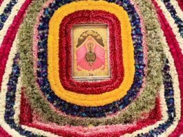 भक्तों संग नगर भ्रमण पर निकले हारे के सहारे श्याम प्यारे Shyam Pyare—the Support of the Defeated—sets out on a city procession accompanied by his devotees.