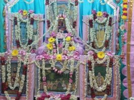 श्री सरस निकुंज में आचार्य शुकदेव जी महाराज का जयंती महोत्सव सम्पन्न Acharya Shukdev Ji Maharaj's Birth Anniversary Celebration Concludes at Shri Saras Nikunj.