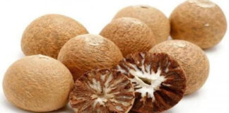 सुपारी: भारतीय संस्कृति की अमिट पहचान: ज्योतिषाचार्य वेद प्रकाश पांडे Betel Nut: An Indelible Symbol of Indian Culture