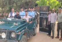 जयपुर टाइगर फेस्टिवल की एक नई पहल: सरकारी विद्यालयों के बच्चों को कराया झालाना लेपर्ड सफारी का निशुल्क भ्रमण Children from government schools were taken on a free tour of the Jhalana Leopard Safari.