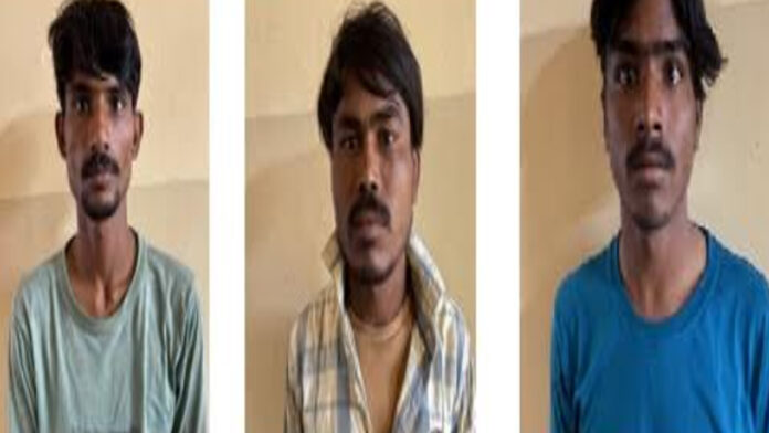 Trio Arrested for Swindling 92,000 by Hoodwinking a Farmer