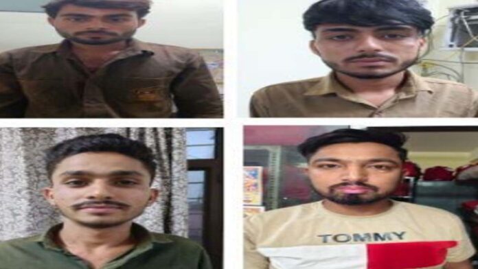 Operation Shiknja: 254 Wanted Persons Arrested, Including Murder and Robbery Suspects