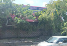 स्लीपर बस पुलिया से नीचे लटकी:पेड़ की आड़ से टला बड़ा हादसा Sleeper Bus Dangling from Culvert: Major Disaster Averted by a Tree