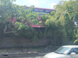 स्लीपर बस पुलिया से नीचे लटकी:पेड़ की आड़ से टला बड़ा हादसा Sleeper Bus Dangling from Culvert: Major Disaster Averted by a Tree